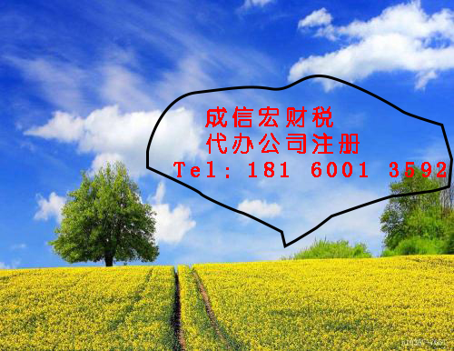成都公司注冊